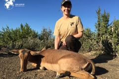 Jagt Sydafrika Globus Jagtrejser