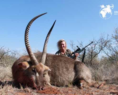 Waterbuck Globus Jagtrejser