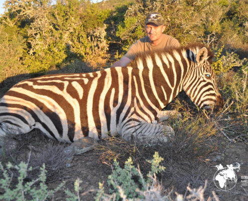 Jagt Sydafrika Globus Jagtrejser